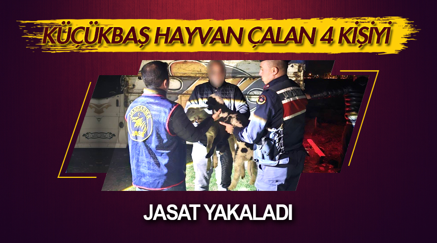 Küçükbaş hayvan çalan 4 kişiyi JASAT yakaladı